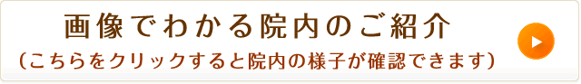 画像でわかる院内のご紹介（こちらをクリックすると院内の様子が確認できます）